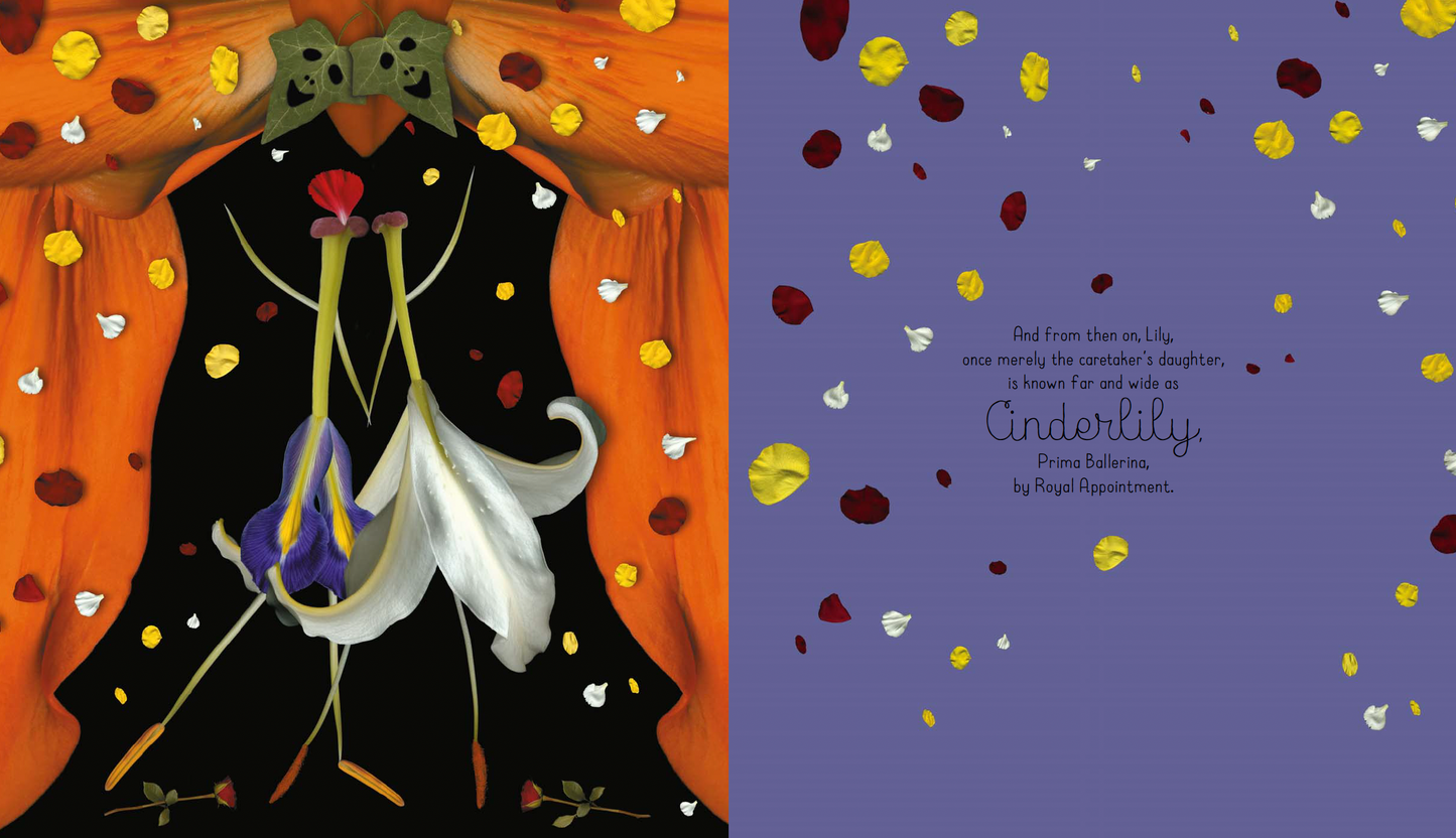 Cinderlily