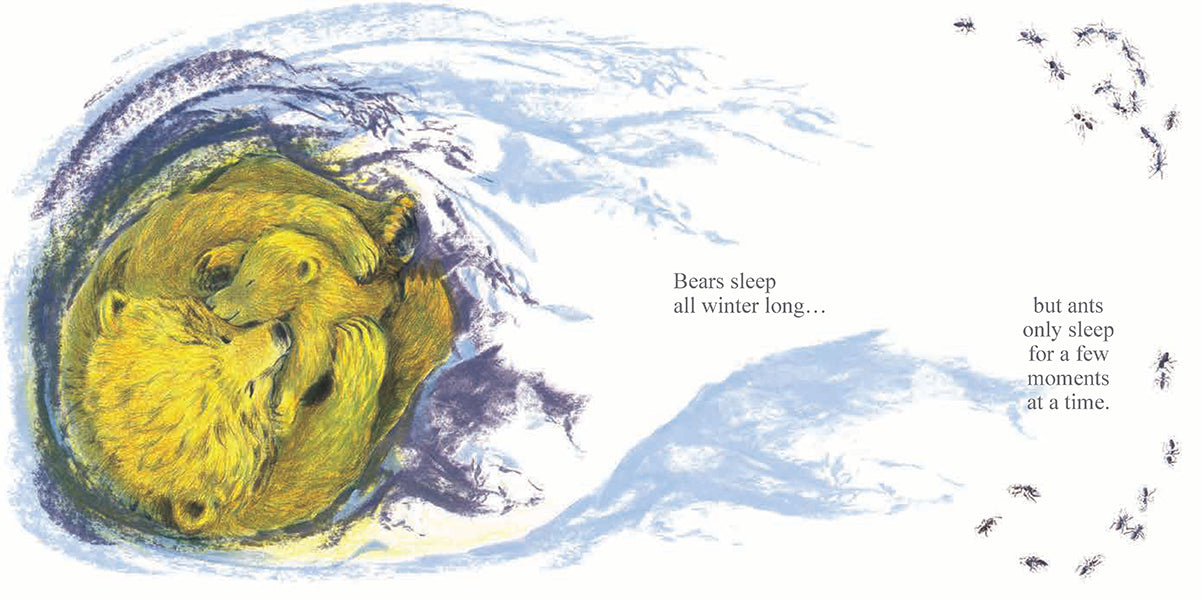 SLEEP: How Nature gets its Rest