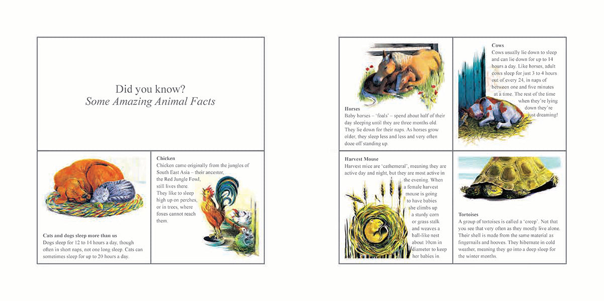 SLEEP: How Nature gets its Rest