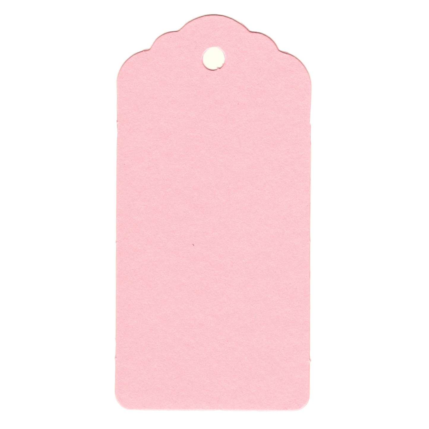 100 Rectangle Scalloped Gift Tags with White Satin Ribbon - 21 Colours Christmas