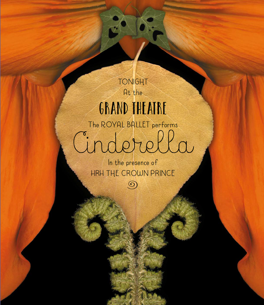 Cinderlily