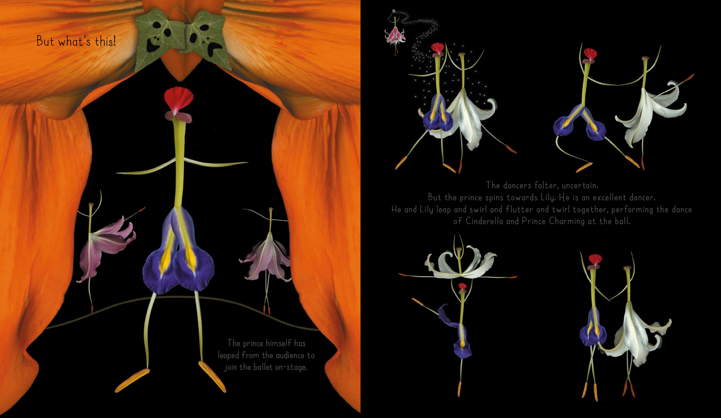 Cinderlily