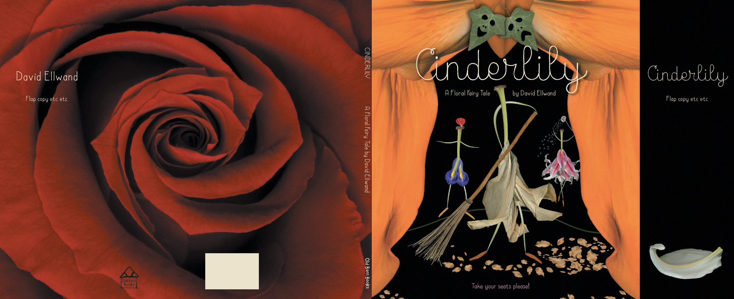 Cinderlily