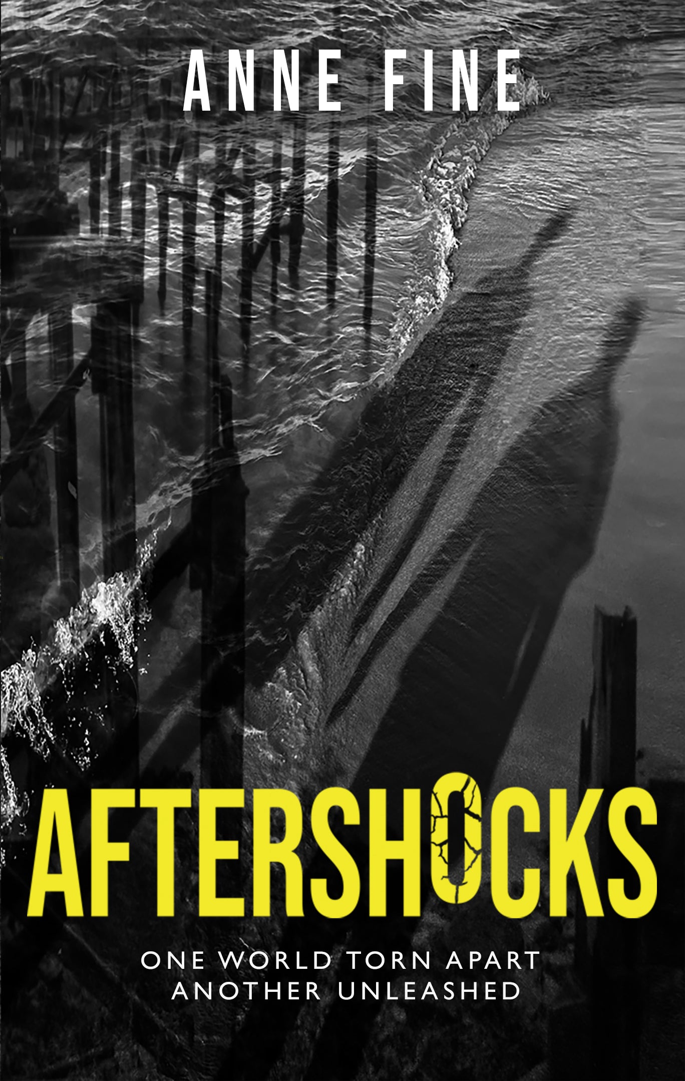 Aftershocks, by Anne Fine