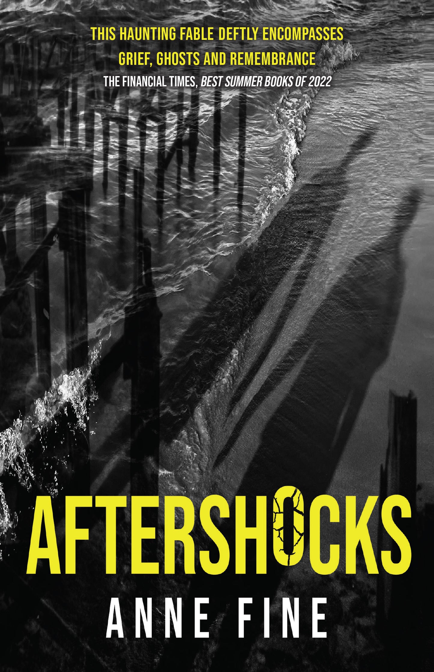 Aftershocks, by Anne Fine
