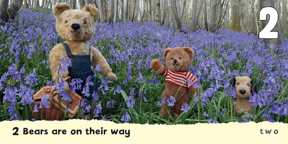 Bluebell Bears