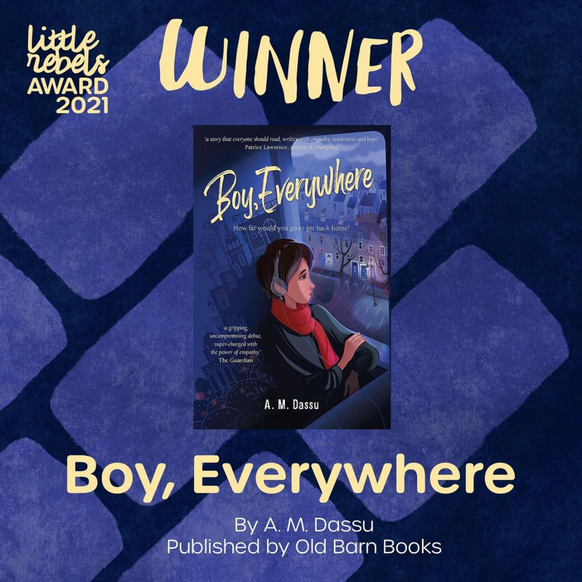 Boy, Everywhere - Social Justice Books