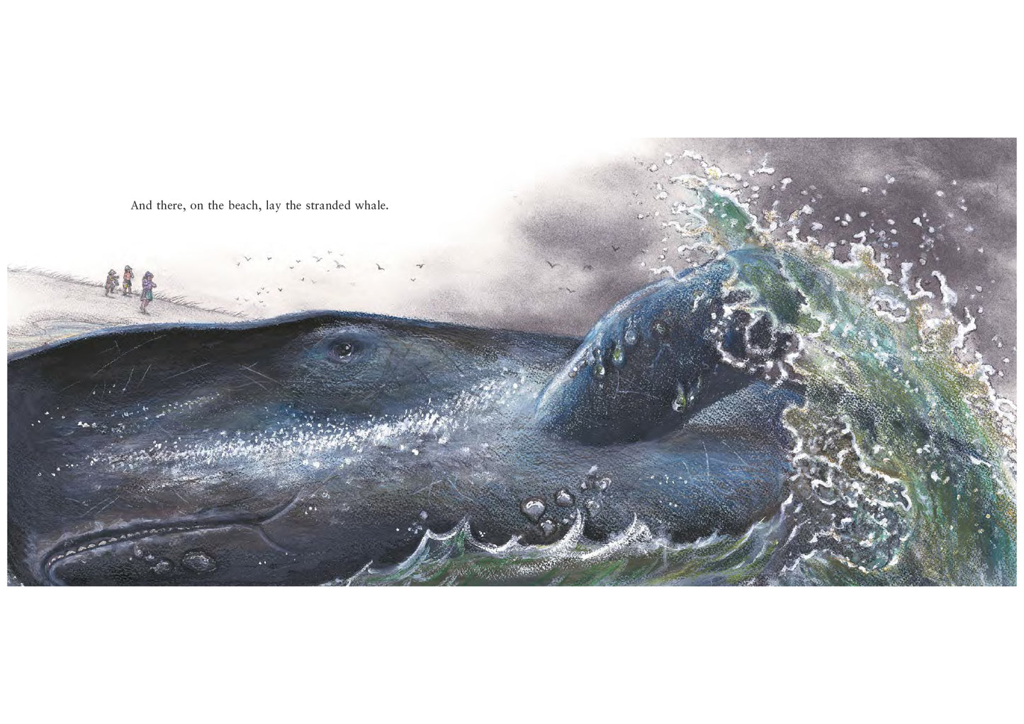 Storm Whale