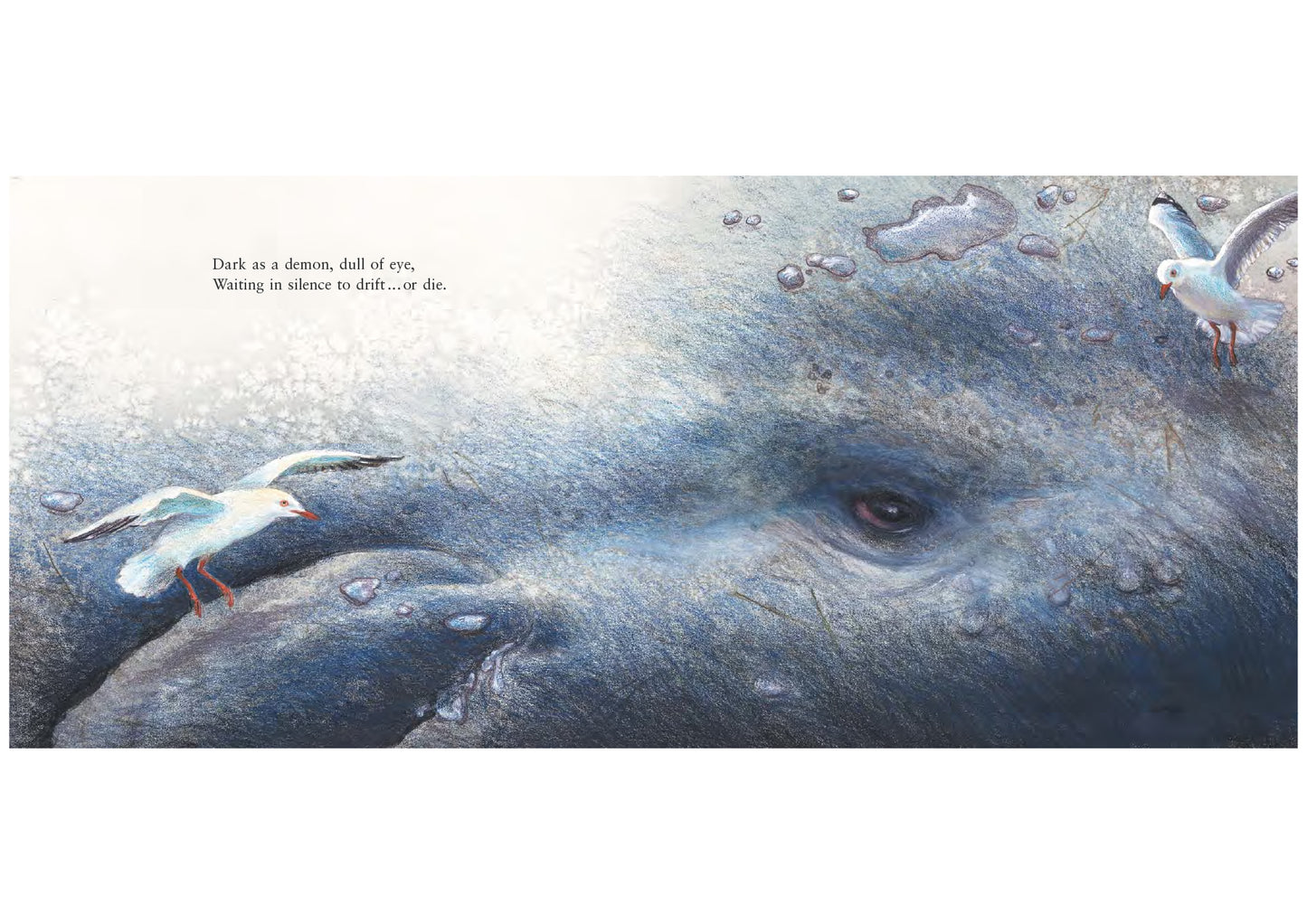 Storm Whale