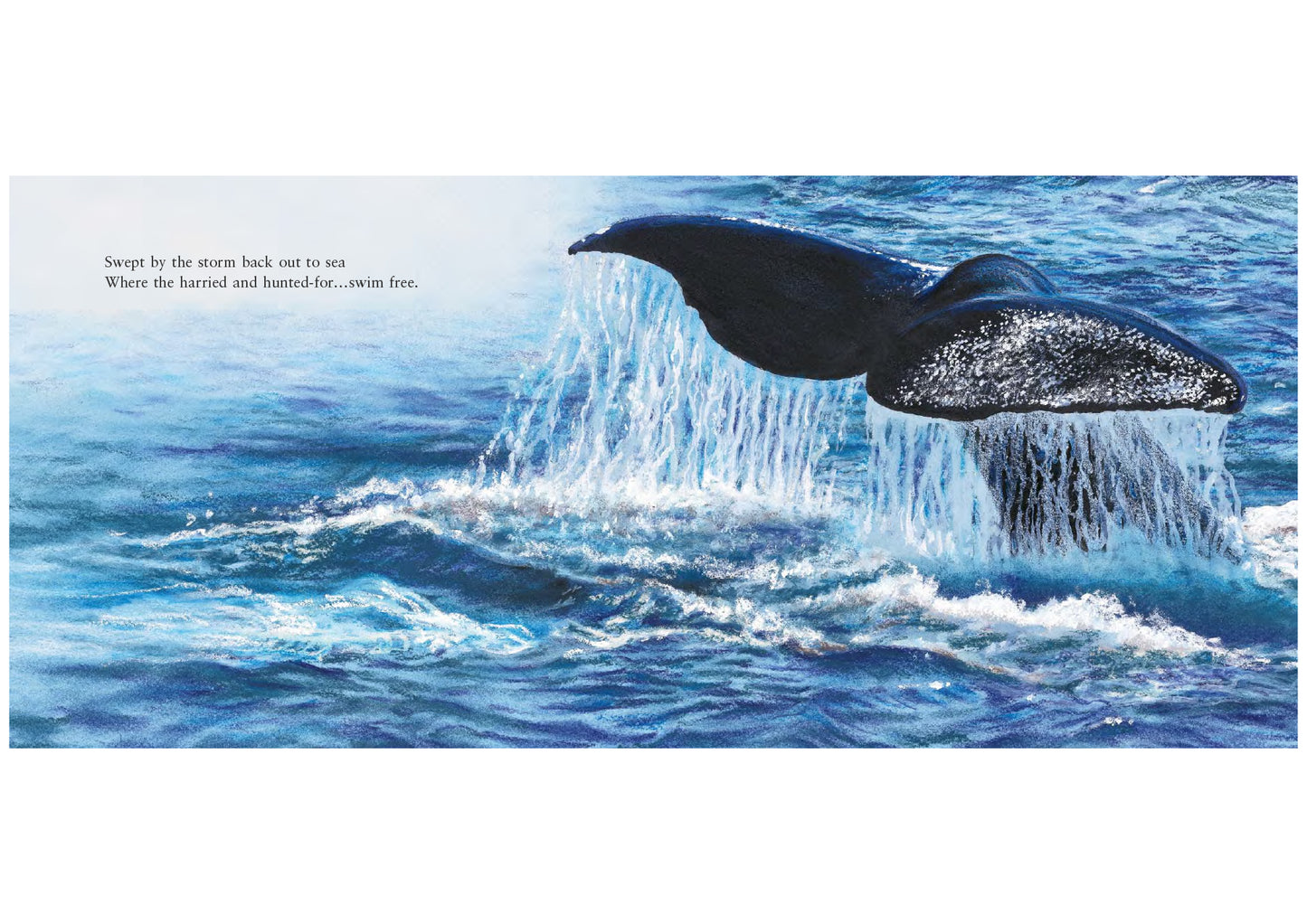 Storm Whale